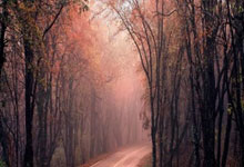 主播卖"改命"吊坠被指违法