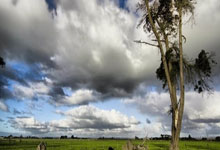 绝美!"黄河之水天上来"具象化了