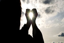 用二舅"宝华"命名的月季初审通过