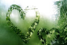 副部级张建龙被查：反腐风暴再掀高潮