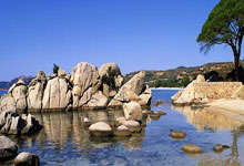 2026年"元旦宝宝"相继报到